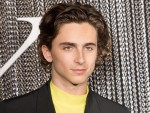 新カップル誕生？ ティモシー・シャラメ、年上美女とプールサイドでキス