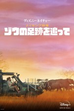 ドキュメンタリー『ディズニーネイチャー／メイキング映像～ゾウの足跡を追って～』ビジュアル