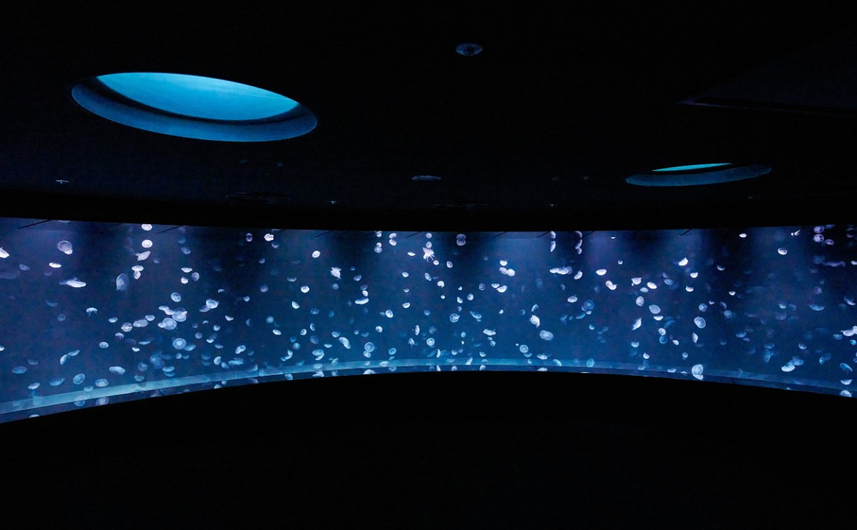 サンシャイン水族館　海月空間