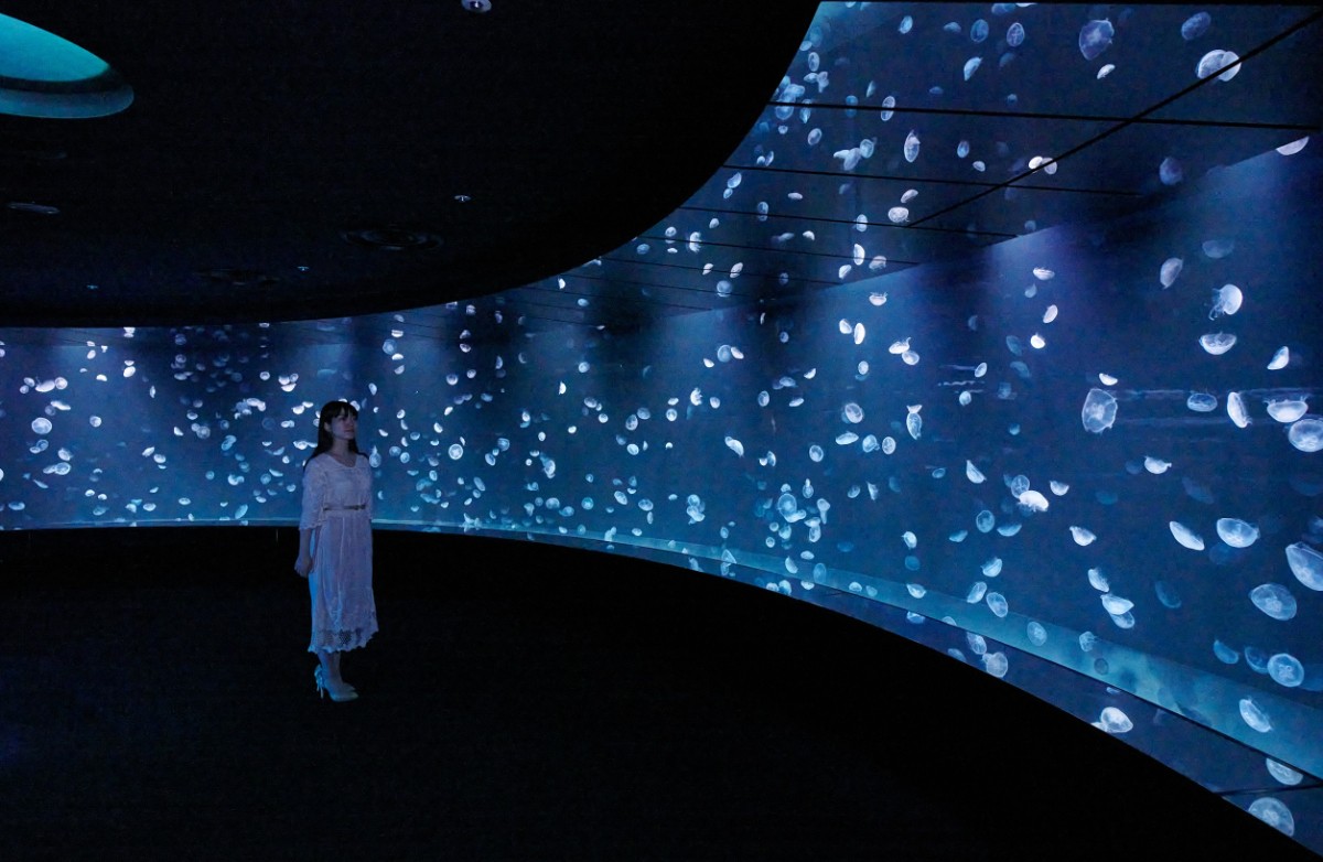 サンシャイン水族館　海月空間