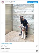 愛犬とたわむれる姿も　※「Cocomi」インスタグラム