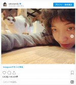 安藤サクラ、愛猫とたわむれる　※「安藤サクラ」インスタグラム