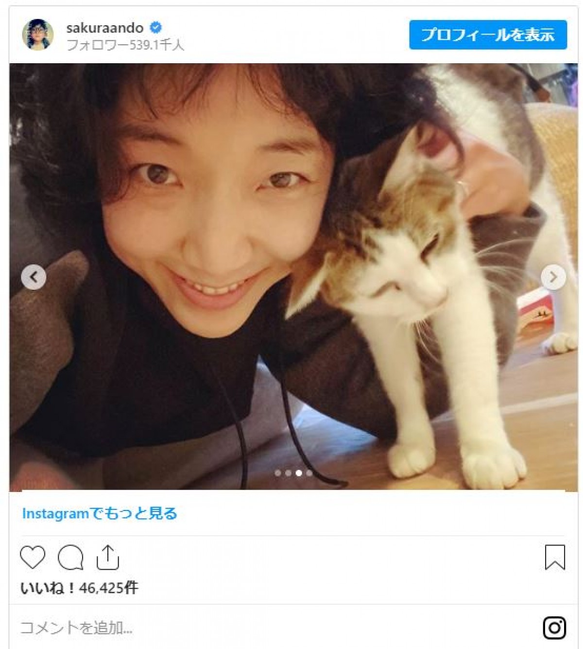 安藤サクラ、“もじゃもじゃヘア”で愛猫とたわむれる姿がかわいい