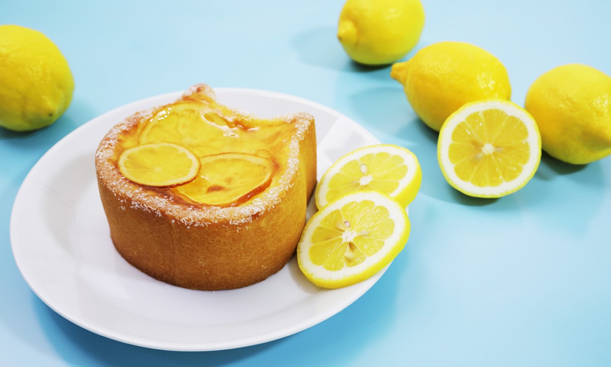 夏季限定の「ねこねこチーズケーキ」登場！　爽やかレモンでさっぱりした味わい