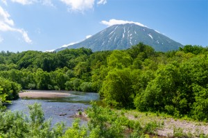 ニセコ樺山の里　楽 水山