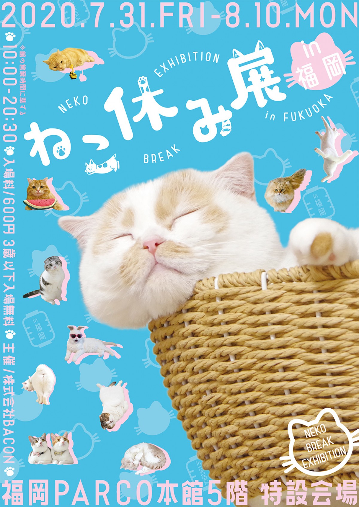 ねこ休み展 in 福岡