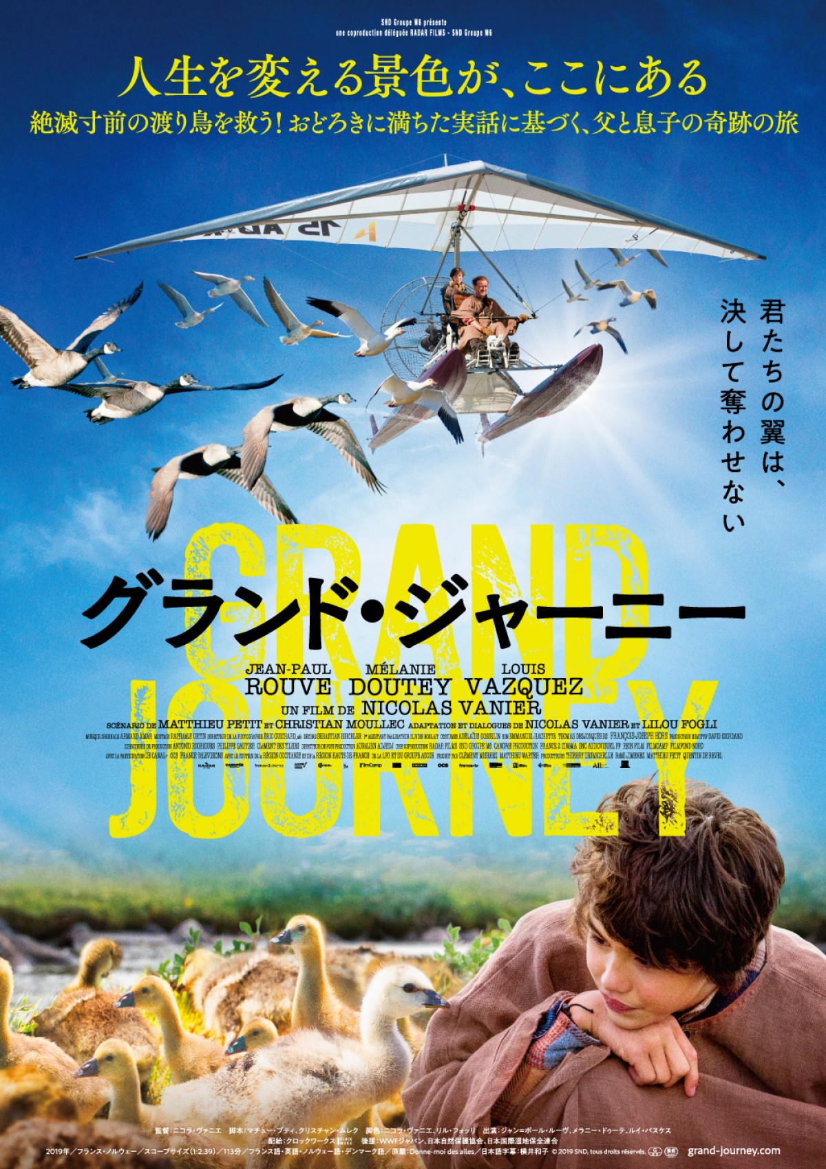 『グランド・ジャーニー』貴重！ 本物の鴈の孵化をとらえた誕生シーン解禁