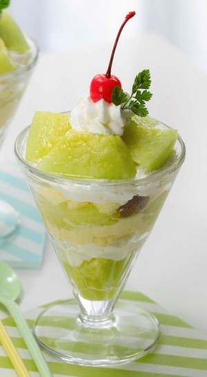 Fresh Melon Dessert