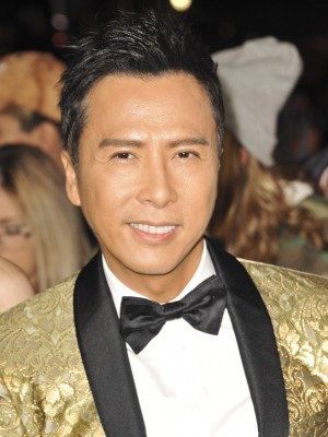 ドニー・イェン（2017年頃）