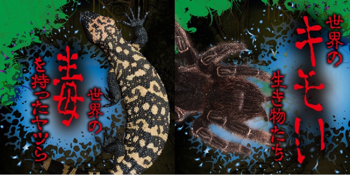 キモだめし展