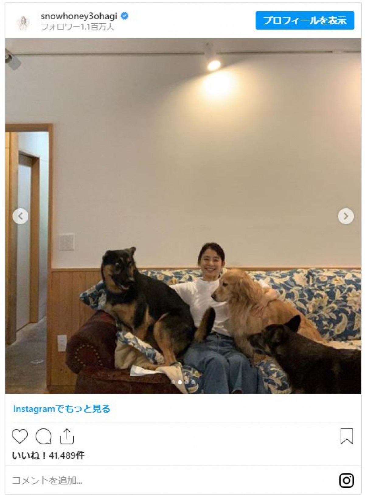 石田ゆり子、大きなワンちゃんたちに囲まれにっこり 「モテモテですね」と反響