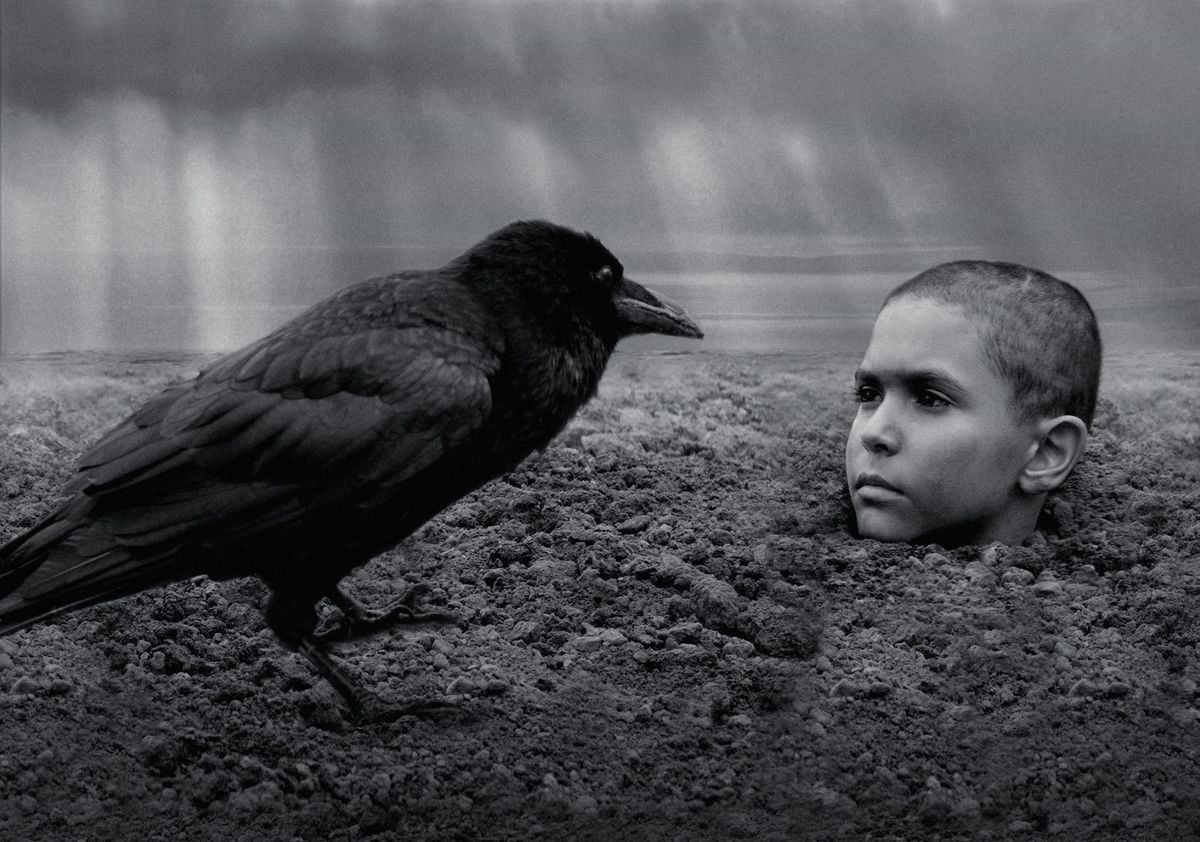 “悪魔”と呼ばれた少年が人間の悪意に立ち向かう『異端の鳥』壮大な日本版予告解禁