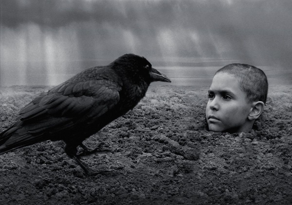 “発禁の書”を映画化した『異端の鳥』 少年の過酷な体験を通して向き合う人間の善と悪