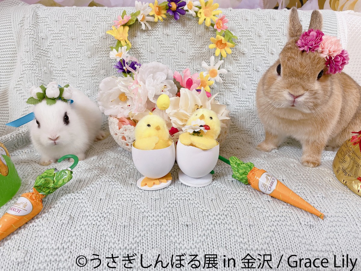 「うさぎしんぼる展」＆「ミニチュア写真の世界展」