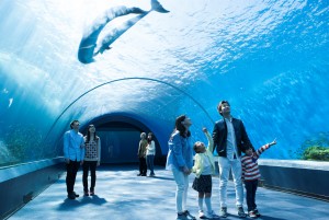 横浜・八景島シーパラダイス サマースプラッシュフェス