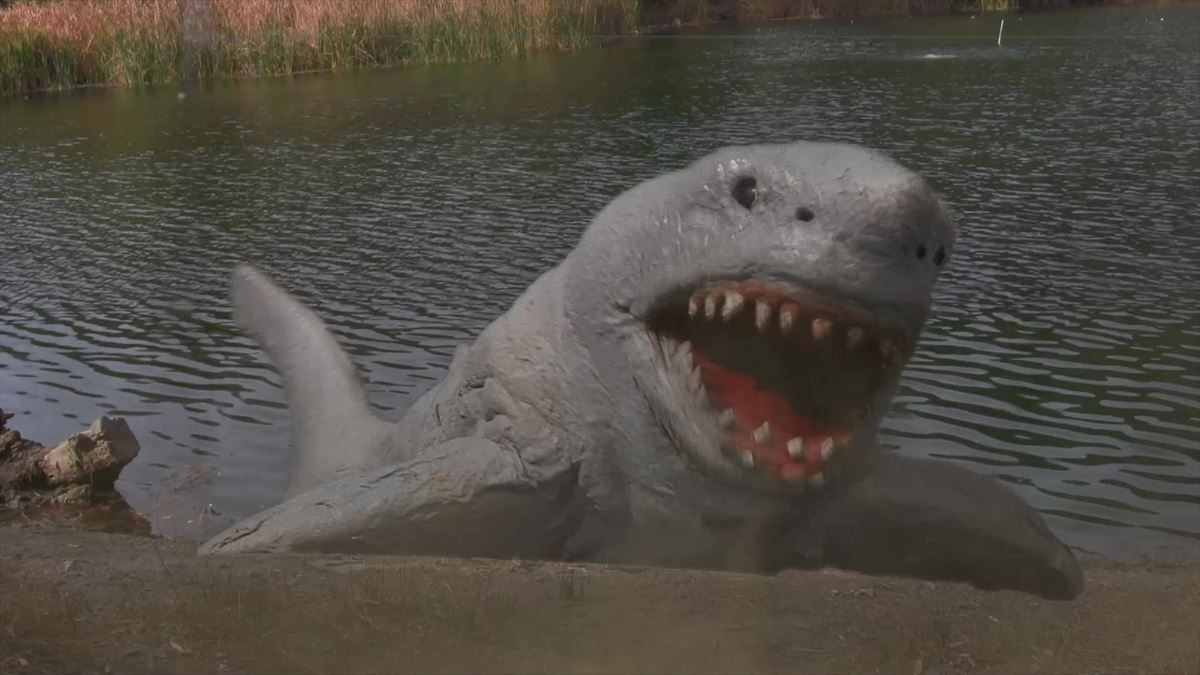 サメー“Summer”シーズン到来！ 王道からトンデモまで、2020年に到来するサメ映画