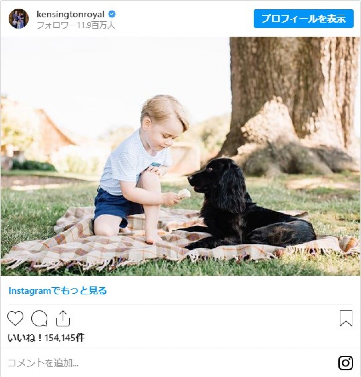 英ジョージ王子が7歳に！ キャサリン妃撮影のスマイルショット公開