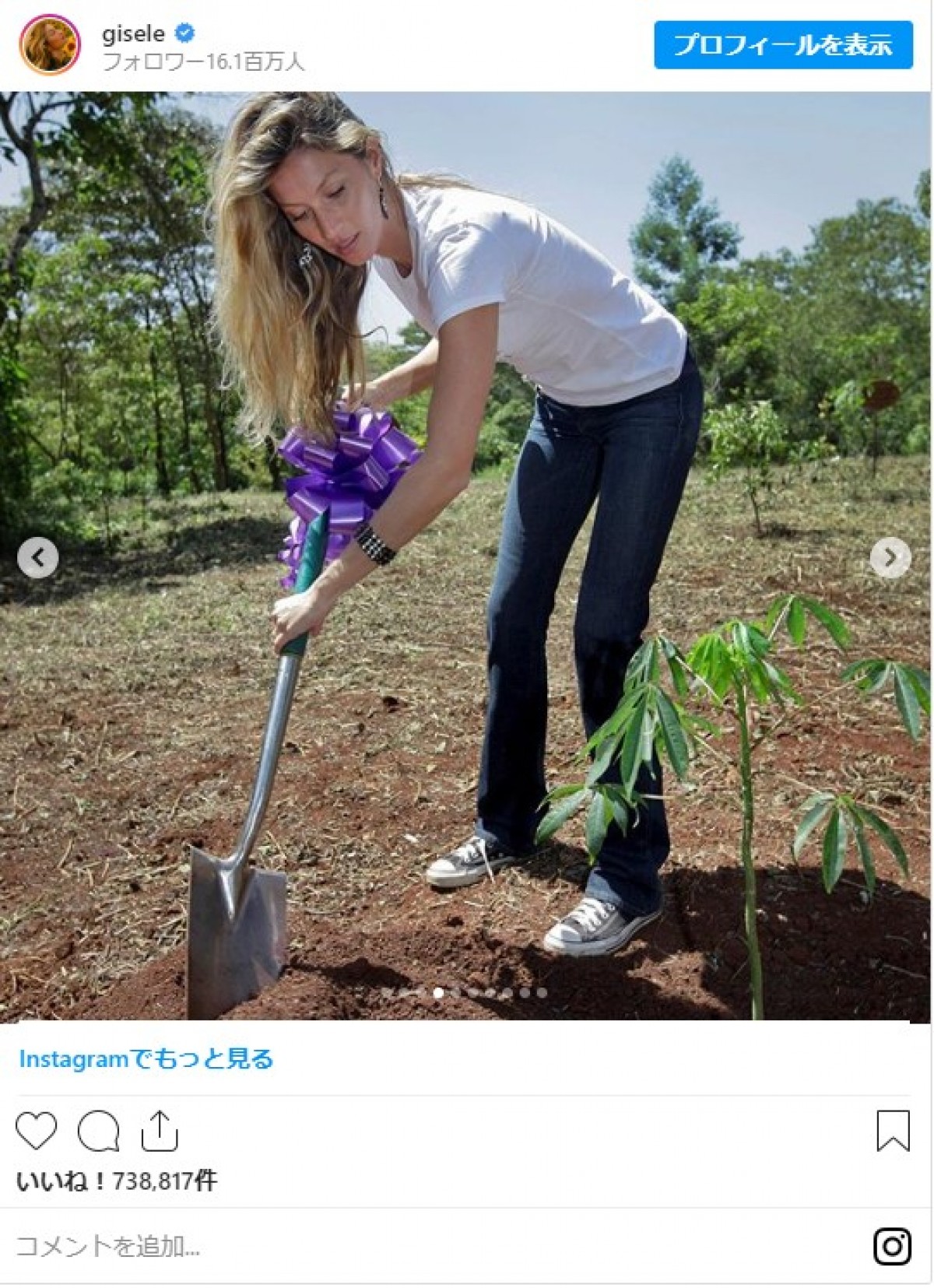 ジゼル・ブンチェンが40歳に　誕生日を記念してアマゾンに4万本を植樹