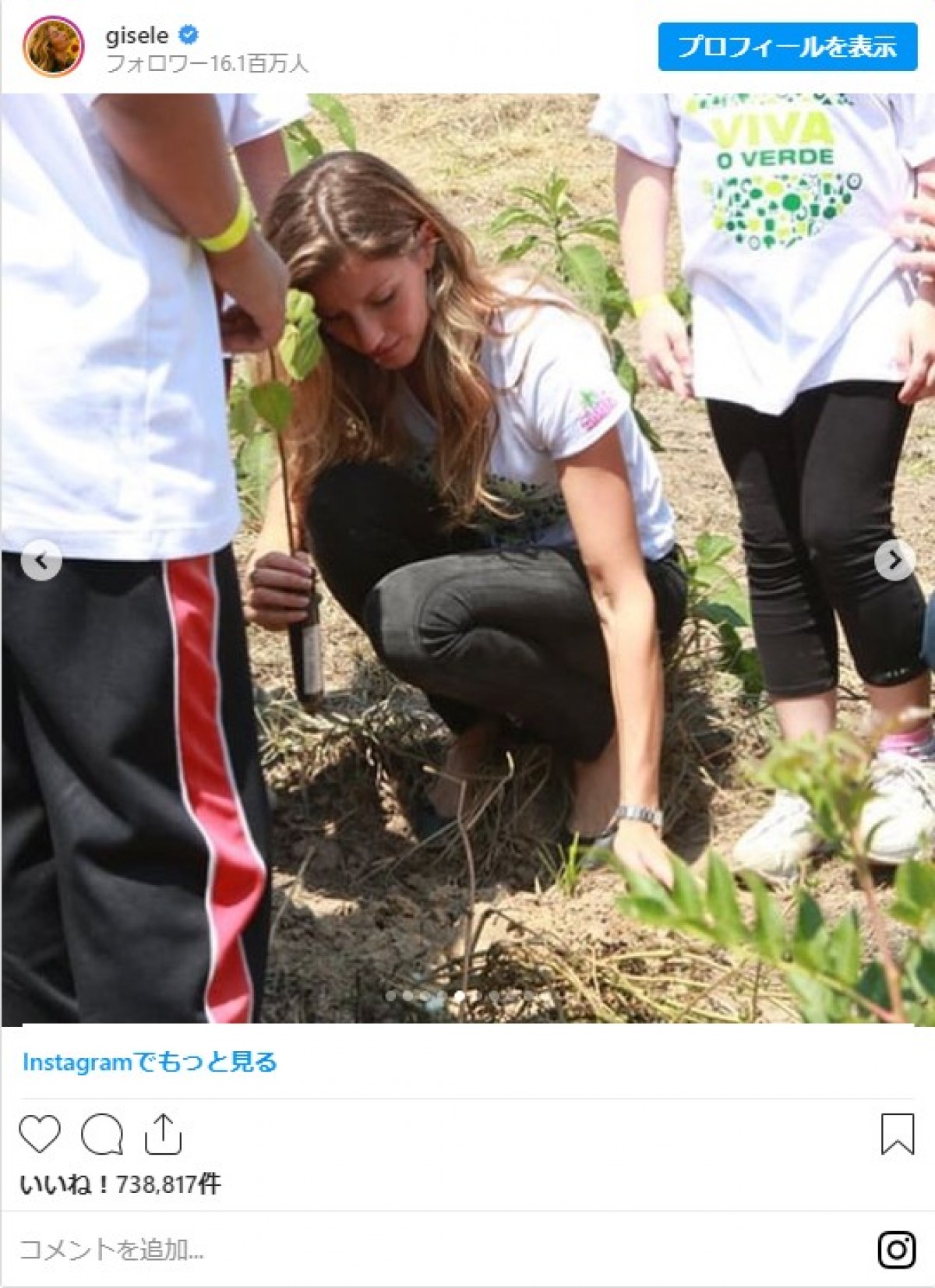 ジゼル・ブンチェンが40歳に　誕生日を記念してアマゾンに4万本を植樹