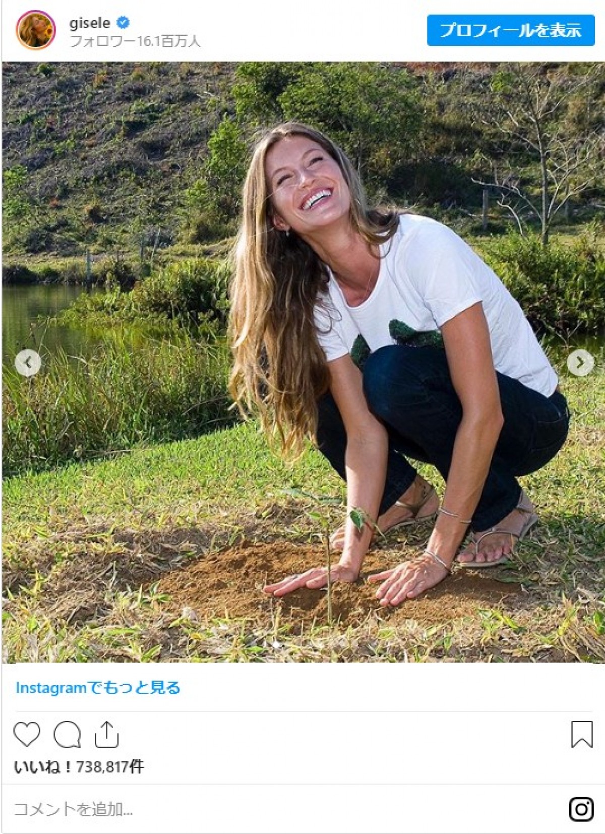 ジゼル・ブンチェンが40歳に　誕生日を記念してアマゾンに4万本を植樹