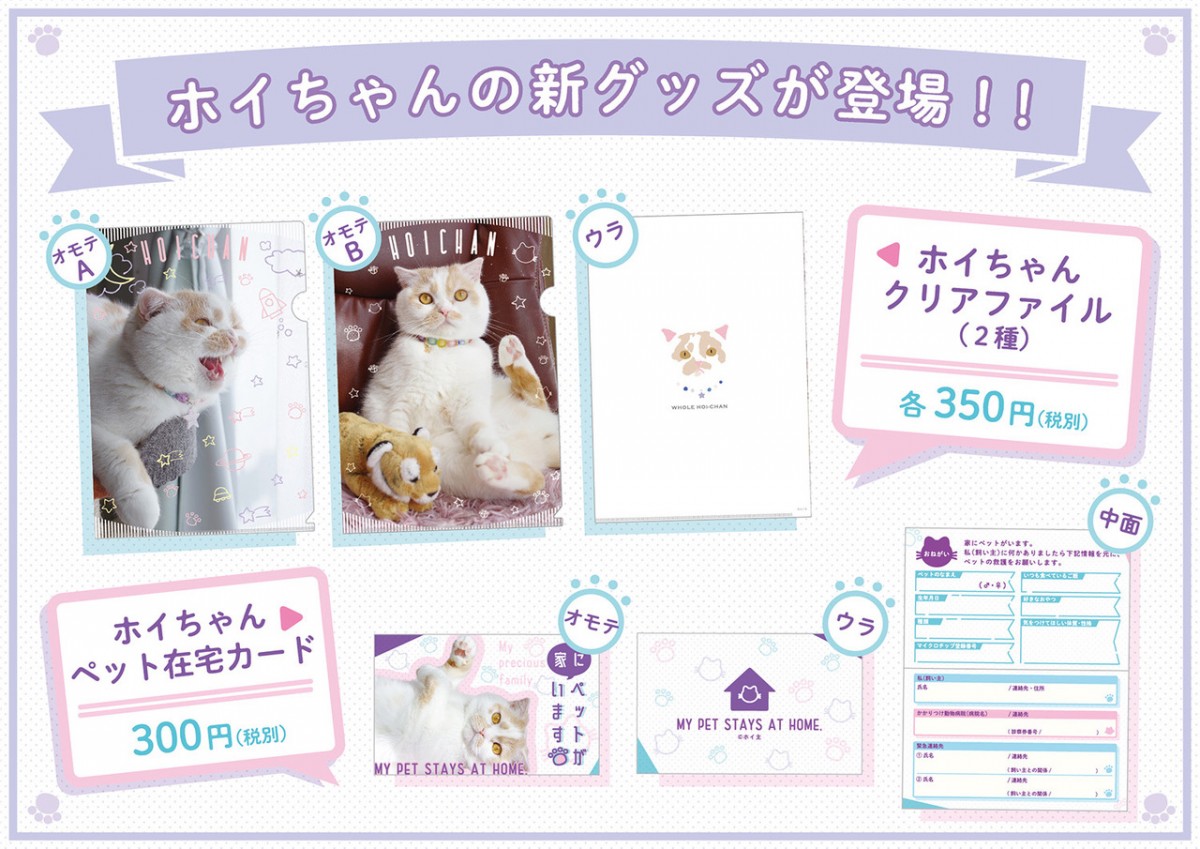 キュートな姿にあふれた「ねこ休み展」東京で開催決定