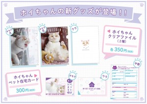 キュートな姿にあふれた「ねこ休み展」東京で開催決定