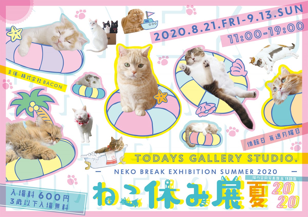 「ねこ休み展 夏 2020」東京で開催決定