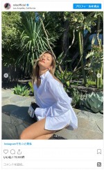 ローラ、お気に入りのコットンシャツで日向ぼっこ中　※「ローラ」インスタグラム