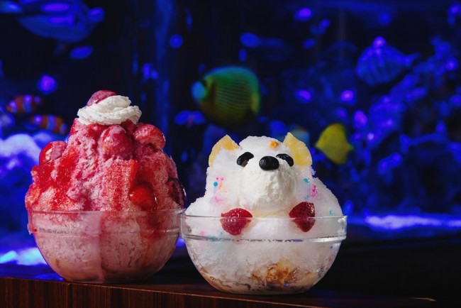 1万匹の熱帯魚×かき氷！　幻想的な「アクアリウムカフェ」新宿に新オープン