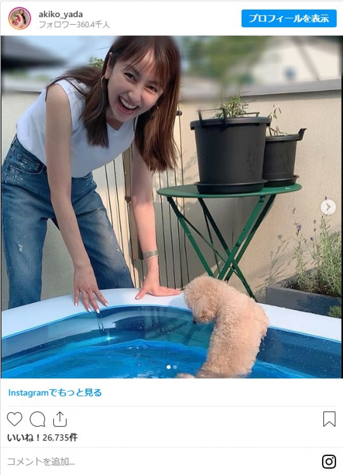 矢田亜希子「お家プール始めました」 愛犬とのはじける笑顔に反響