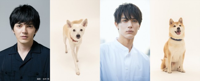 映画『犬部！』に出演する林遣都＆中川大志、それぞれ劇中でバディになる犬たち