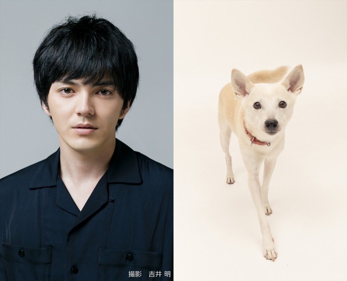 林遣都主演×中川大志共演、ノンフィクション『犬部！』映画化決定　2021年公開