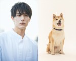 映画『犬部！』（左から）中川大志、太郎役のきぃ