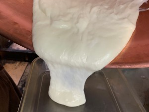 練乳アイスたいやき　たいやき ともえ庵