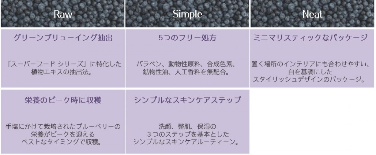 イニスフリー「ブルーベリー ライン」