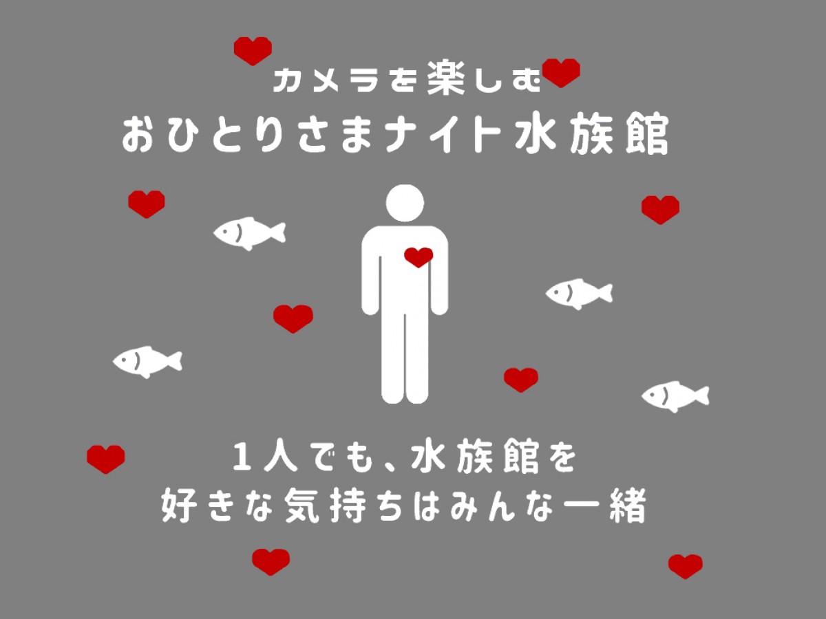 「おひとりさまナイト水族館」開催