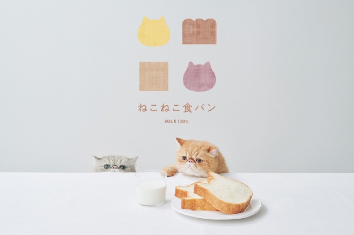 ねこの形の高級食パン専門店、新フレーバー登場