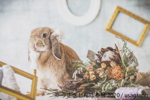 「うさぎしんぼる展2020」が東京＆名古屋で開催