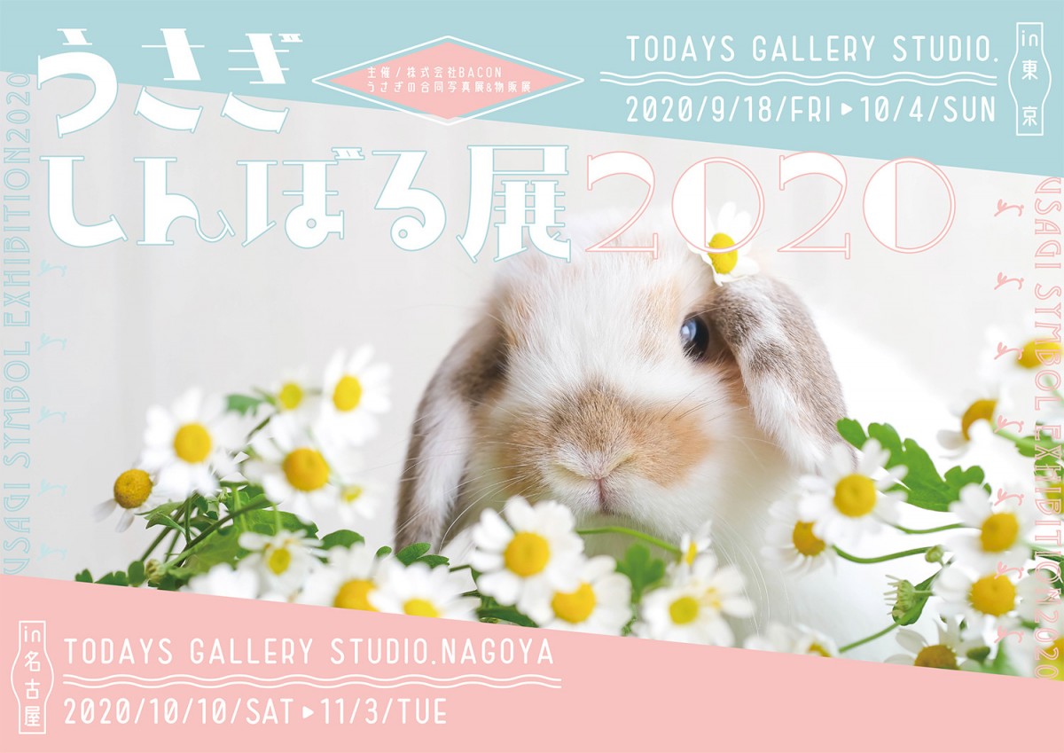 「うさぎしんぼる展2020」が東京＆名古屋で開催