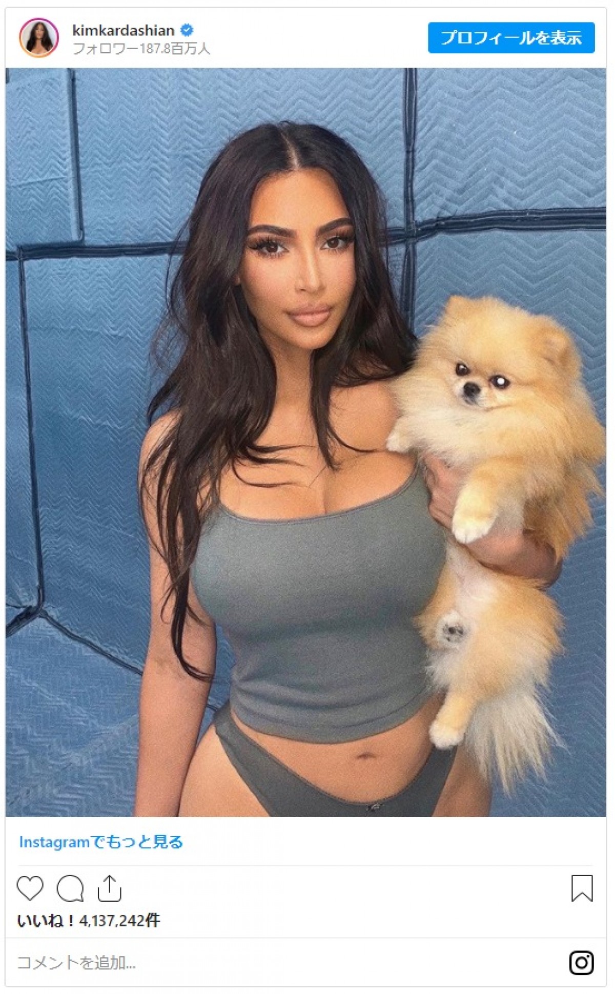 女性初！ アリアナ・グランデ、インスタグラムのフォロワー数2億人突破