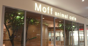 Moff animal cafeららぽーと愛知東郷店