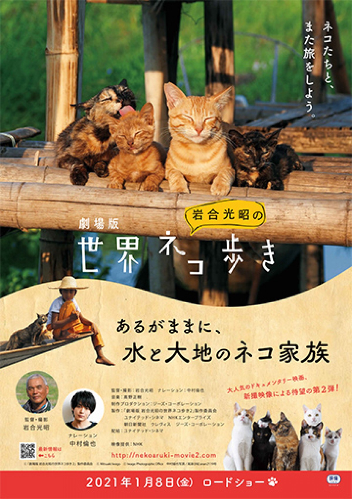 中村倫也「ねこって飽きない」 『劇場版　岩合光昭の世界ネコ歩き』ナレーション担当に