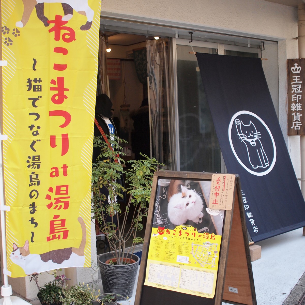 ねこまつり at 湯島