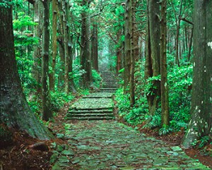 ひんやり涼絶景ランキング