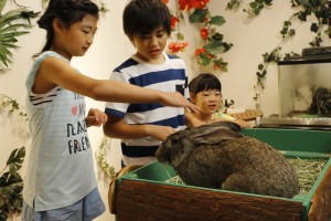 伊豆シャボテン動物公園グループ　Halloween Monthly