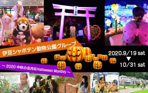 伊豆シャボテン動物公園グループ　Halloween Monthly
