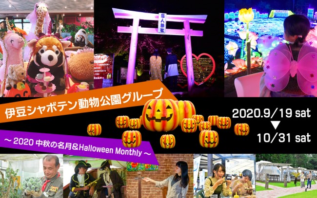 伊豆シャボテン動物公園 ハロウィンイベント開催 華やかなコスプレ姿で名月を鑑賞 年9月19日 おでかけ クランクイン トレンド