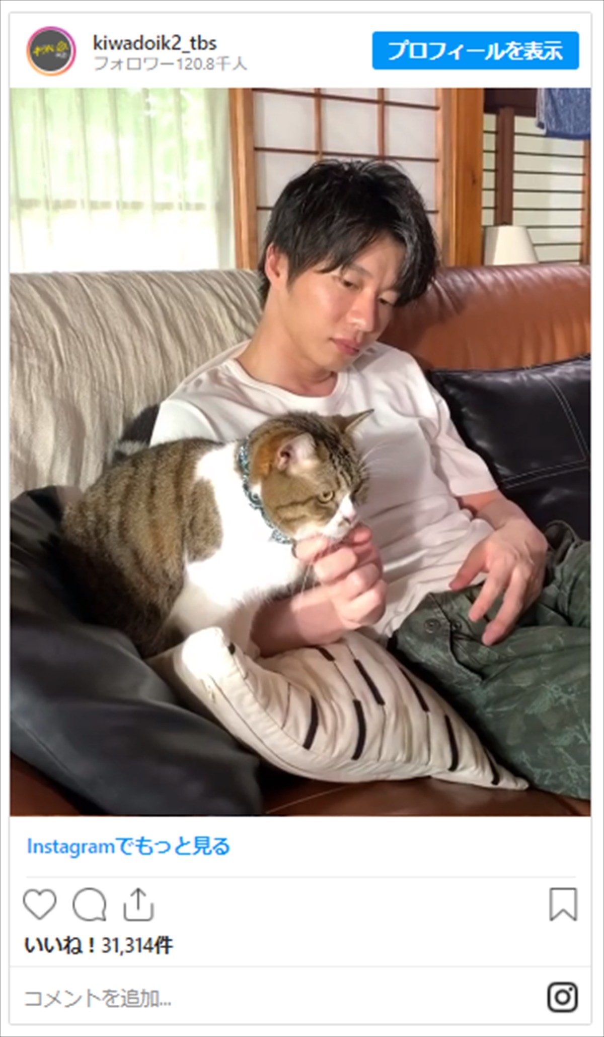 田中圭、ぐっすりお昼寝　猫のハジメちゃんに起こされる姿にファンほっこり「最高の癒し」
