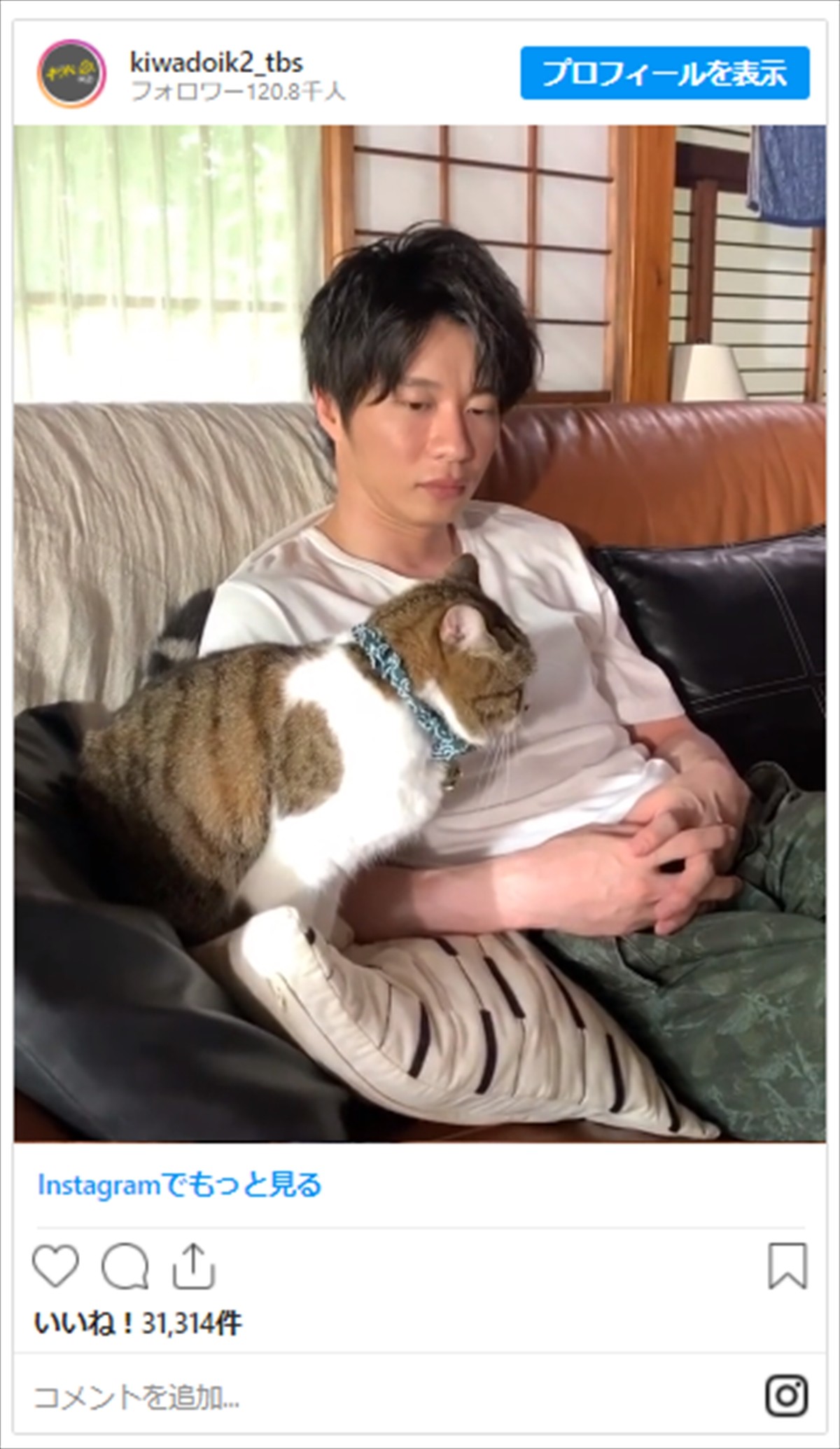 田中圭、ぐっすりお昼寝　猫のハジメちゃんに起こされる姿にファンほっこり「最高の癒し」