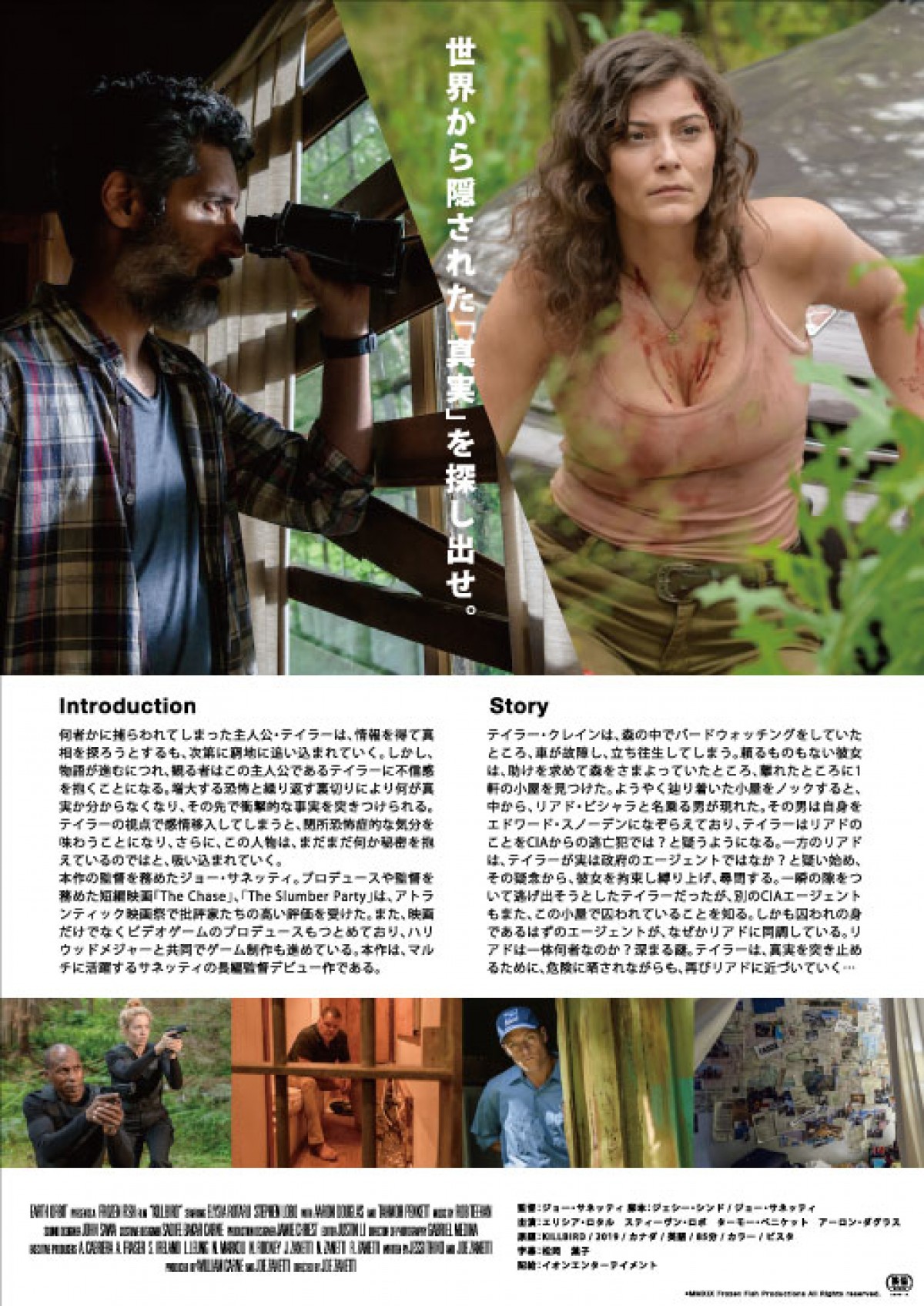 森の中の一軒の小屋に隠された真実とは　カナダ発スリラー『キル バード 森に潜む反逆者』予告